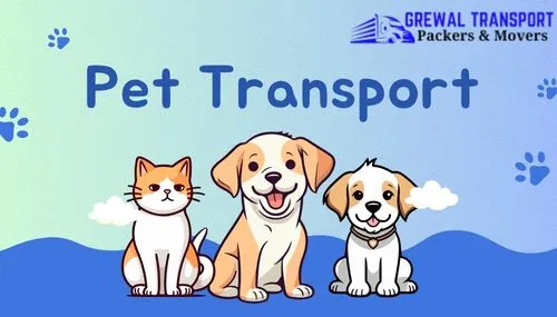 Pet and cat transport service in India by Grewal Transport Service ensuring safe and comfortable animal relocation