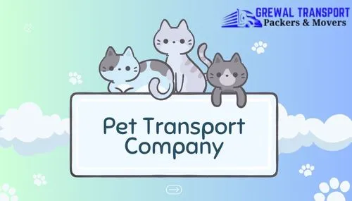 About Grewal Transport Service pet transport solutions for safe and comfortable pet relocation in India